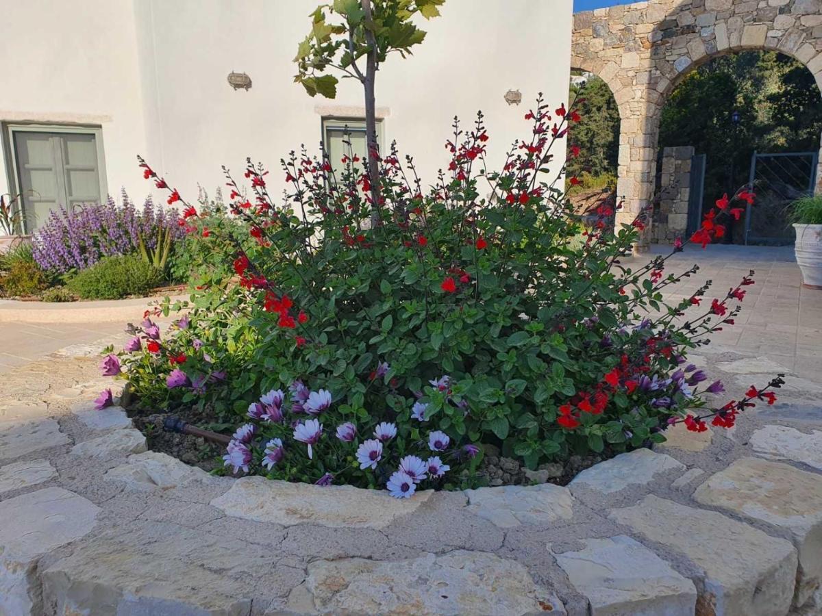 Anamnezia Luxury Suites (Adults Only) Agios Dimitrios  ภายนอก รูปภาพ